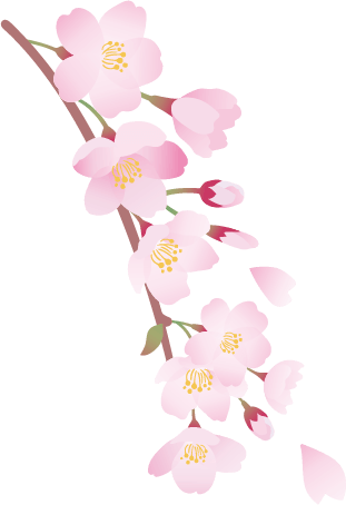 桜